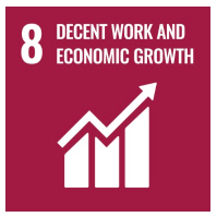 Sustainable Development Goal 8
